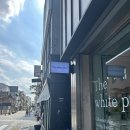 전주 소품샵 투어 더화이트피스 무드인뮤트 구티 후기
