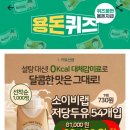 랩코드비 이미지