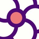 모루 꽃다발 이미지