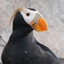 2023-0011 | [공지] 2025년 11월 일본 도쿄 등 간토지방 기행 간략한 후기 Part.1