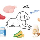 CW-0800-01 이미지