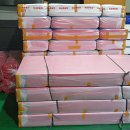 도약체육관 이미지