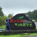 붉은오름자연휴양림1 티스토리