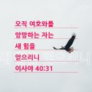 [이사야 40:31] 오직 여호와를 앙망하는 자는 새 힘을 얻으리니 독수리의 날개치며 올라감 같을 것이요 달음박질하여도 이미지