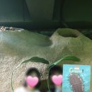 홍대 방탈출 추천 머더파커WOW홍대점 홈그라운드 꽃다발길
