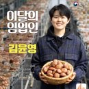 백두표고 이미지