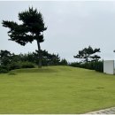 태안히 이미지
