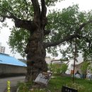 구불2-1길(미소길) 이미지