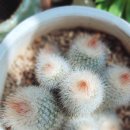 소정농장 이미지