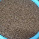 들깨나라 이미지