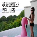 푸켓 풀빌라 트리사라 그 매력적인 후기 / 조식,런치 포함 :)