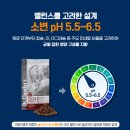 하이닥터 | [고양이 사료 추천] 헤어볼 사료로 추천! '닥터클라우더 하이 프리미엄 캣 인도어' 솔직 후기
