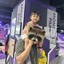 춘천파크 | 춘천 키즈카페 &#39;몬스터파크 춘천점&#39; 주말 방문 이벤트 참여 후기!
