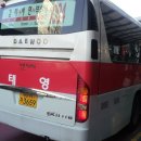 영신여객㈜ 이미지