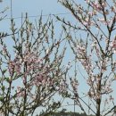 남화농장 이미지