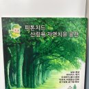 예다움태권도장 이미지