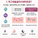 마그네슘글리시네이트 효능 내돈내산 추천 이유 부작용 복용법 포함