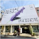 성수 세컨 포레스트 나무 꽃 그리고 풀의 위로 팝업스토어 방문 후기