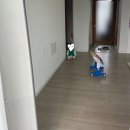 아기숟가락 | 옥소토트 아기 숟가락 포크 자기주도 수저 내돈내산 후기