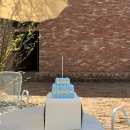 백도까페 펜션 | [안양] 해피베어데이 롯데백화점 평촌점_안양레터링케이크 맛집｜생크림 2단 블루 후기