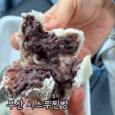 부산 시스루찐빵 예약 위치 가격 솔직후기