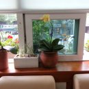 금곡동주민센터 이미지