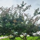 충곡농장 이미지