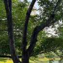 굽돌집 잠실방이직영점 이미지