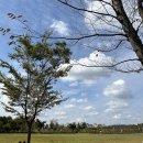 1박2일유람선연계코스 이미지