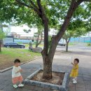 시원한 나무 그늘 아래에서 놀이해요♡^^ 이미지
