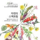 스시요네 이미지