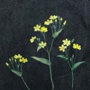 일상을 예술로, 프랑스자수 이미지