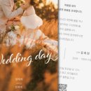 희선축사 | 결준.. 결혼준비.. 텍스트 많음 주의