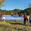 승마공원 이미지