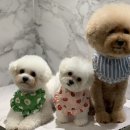 광명수산2