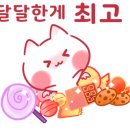 홍천축산업협동조합 이미지