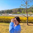지산로 | 대구 근교 경북 성주 여행｜힐링되는 성주 가볼만한곳&amp;카페 코스