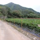 인선공인중개사사무소 이미지