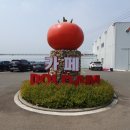 농업화사법인 주식회사 지훈 | 춘천 이색 카페 추천! 눈과 입이 즐거운 대형 식물원 '카페돌담' (스마트팜 체험/농장 직판)