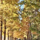 서우전통국밥 이미지