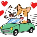 W&W(와앤와) 이미지