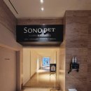 소노펫 동물병원 | 홍천 소노펫｜반려견 동반 가을여행 리조트 꿀팁과 주차 정보 후기