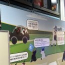 엘지(LG)3차세탁소 | [수원] LG 트윈스 임찬규 시즌 첫승 내돈내산 직관 후기 - 수원KT위즈파크