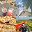 꽁쭈발관리 앞 횡단보도 | 삿포로 4박 5일 커플 여행 일정 🌿비에이투어 &amp; 오타루 맛집까지 꽉 채운 코스