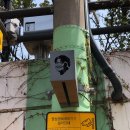 아양로R | 대구 당일치기 기차 여행 후기_22.04|(KTX, 옛집식당, 김광석길, 바하의선율 카페, 무침회, 닭똥집거리)