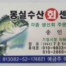 몽실센터 이미지