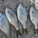 학리입구 이미지