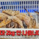 수산얼음