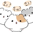 멘토세무회계컨설팅 이미지