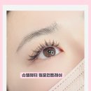 래쉬어필